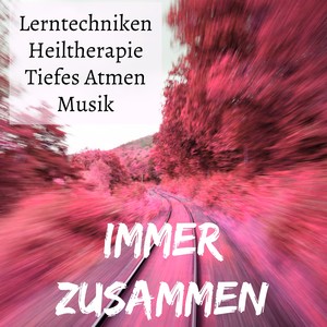 Immer Zusammen - Lerntechniken Achtsamkeitsmeditation Heiltherapie Tiefes Atmen Musik mit New Age Instrumental Geräusche