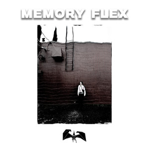 Memory Flex