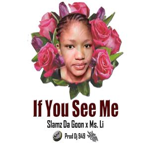 If You See Me (feat. Ms Li) [Radio Edit]