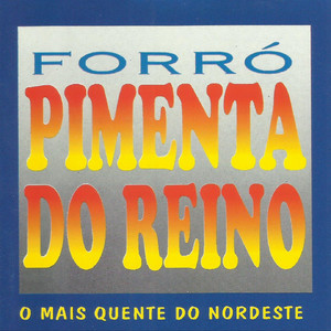 No Fogo da Paixão