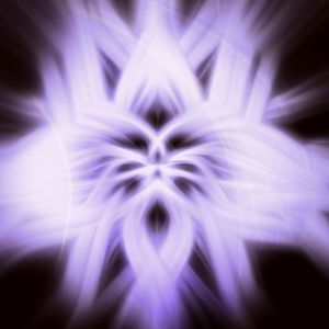 Embracing the Stillness