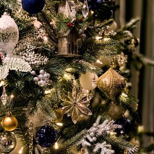 Reason To Celebrate(Christmas