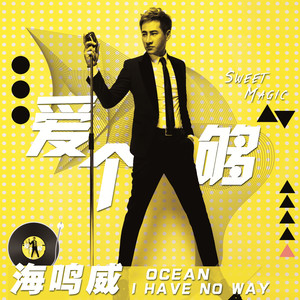 爱个够 - 海鸣威封面