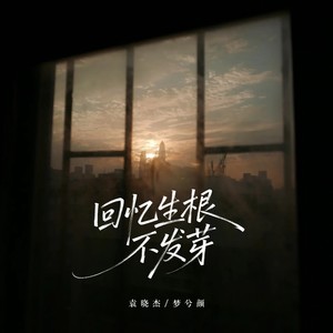 回忆生根不发芽
