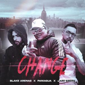 Change (Explicit)