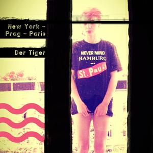 B | Tygře tygře ohnivou