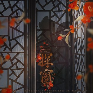 探窗