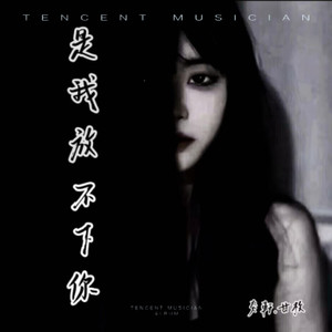 是我放不下你 (伴奏)