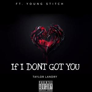 If I Don't Got You