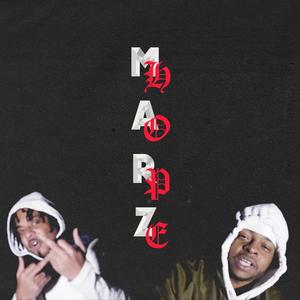 Diplomatic Community (feat. Marz Money & T. Hope) (Explicit)