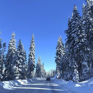 without you (Explicit)