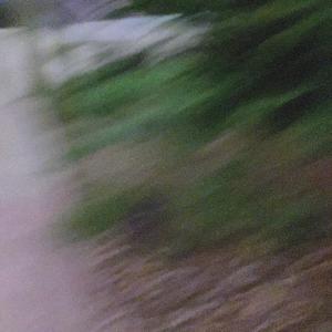 Trouble (Explicit)