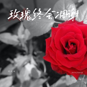 玫瑰终会凋谢封面