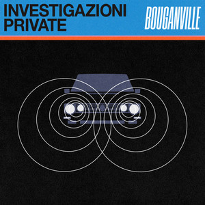 Investigazioni private