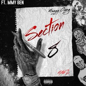 Section 8 (Explicit)