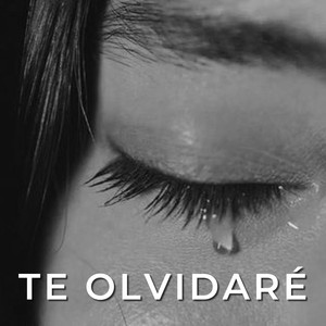 Te olvidaré