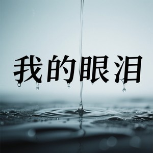 我的眼泪封面