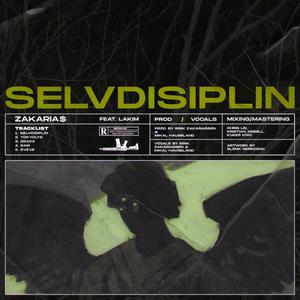 Selvdisiplin