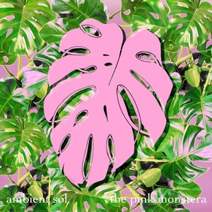 The Pink Monstera