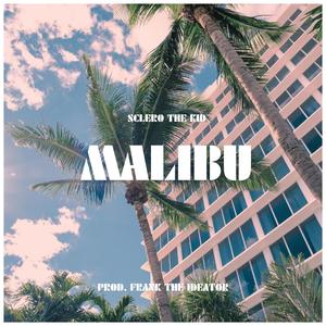 MALIBU (feat. Frank The Ideator) (Explicit)