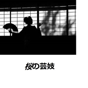桜の木の下で芸妓