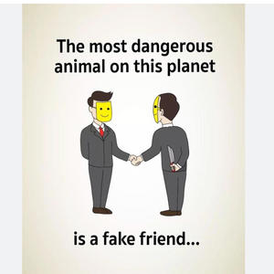 Fake Friends (feat. Trapp Gee) (Explicit)