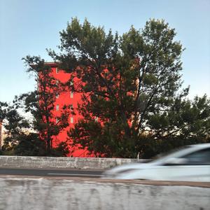 Lose In Love (Explicit)