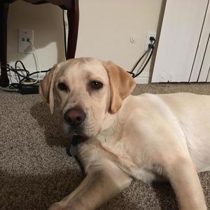 LIFE IS GREAT/IM ****IN DROWNING