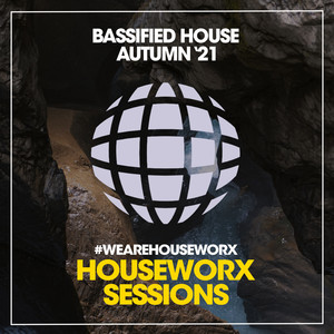 Everything You Need (Bass House Dub Mix)