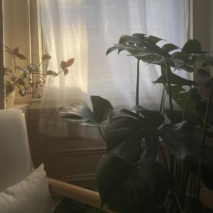 Love That Never Ends(feat. Praise Lubangu)