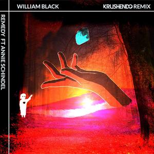 Remedy(feat. Annie Schindel) (Krushendo Remix)