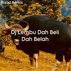 DJ Lembu Dah Beli Dah Belah Mengkane