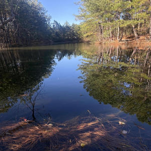 The one they needed (Explicit)