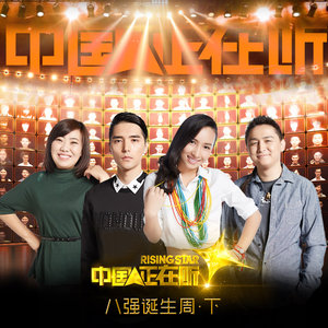 会痛的石头 (Live)封面