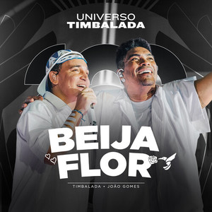 Beija-Flor (Ao Vivo)