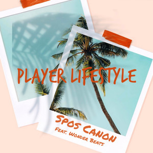 Player Lifestyle (Explicit)