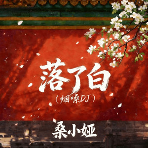 落了白 (烟嗓DJ)