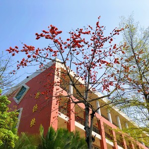 相约花城 (个唱版)