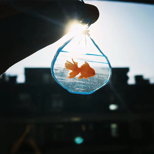 myjealousy (其实我们天生一对)