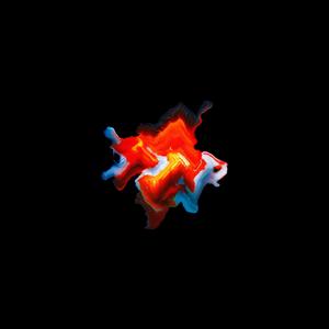 Fish scales jazz up the castle