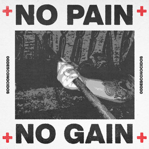 No Pain No Gain (Explicit)