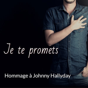 Je te promets (40 chansons hommage à Johnny Hallyday) [Explicit]