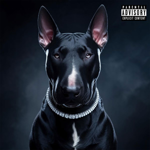Xl (Explicit)