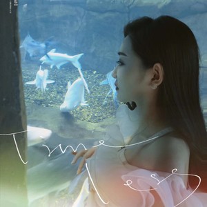 为爱疯狂为情固执