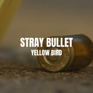 Stray Bullet