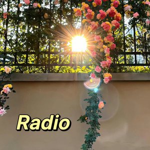 radio