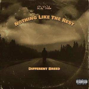 Nothing Like The Rest (Explicit)