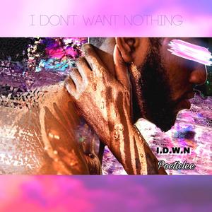 I Don't Want Nothing