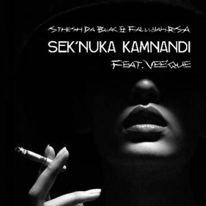 Sekunuka Kamnandi (feat. Vee'que)