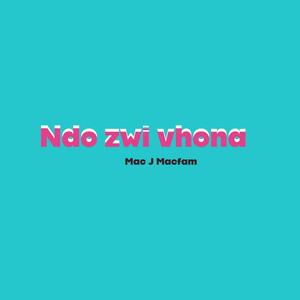 Ndo zwi vhona